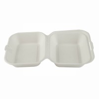Bagasse:  Medium Food Box
